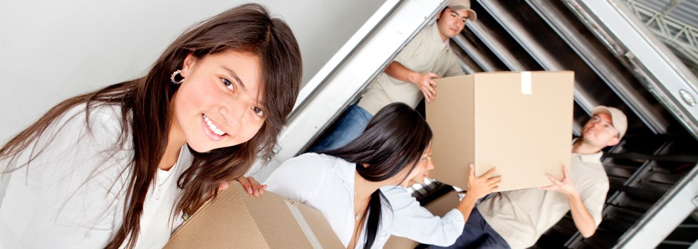Professional Removalists Wirrate